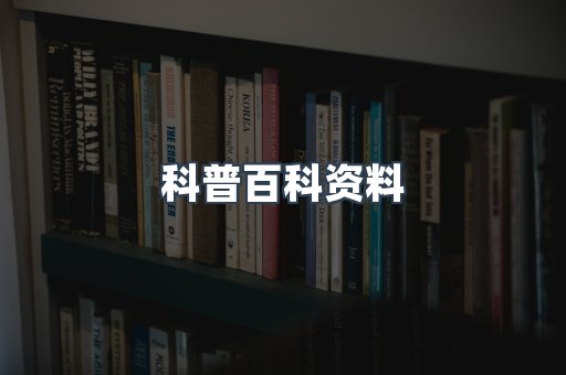 外文电子书系列
